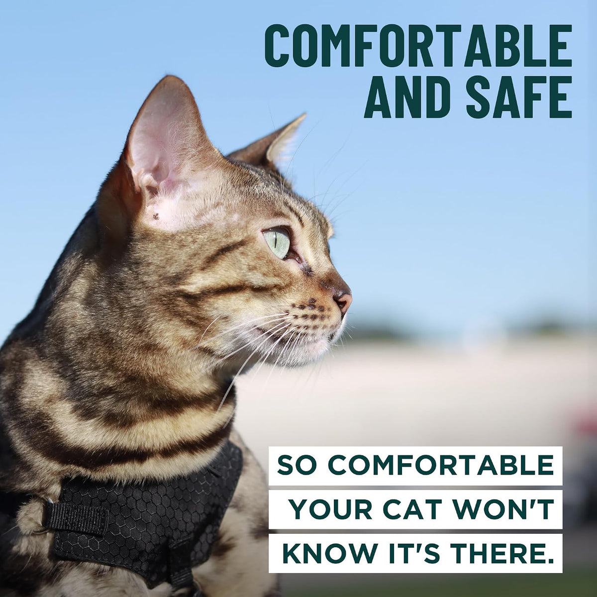 Houdini Escape Proof Cat Harness and Leash – Essentials for Cats - Black / S - image 2