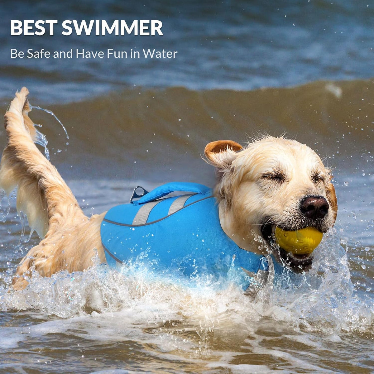 Queenmore XS Dog Life Jacket - Large / Lake Blue - image 4