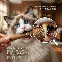 Cat Toys 12PCS Mix Catnip Chew Rope Silvervine Stick for Indoor Cat – Essentials for Cats - Pro-17PACK - image 2