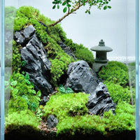 Natural Rocks Seiryu Stone 1-2.5 Inches Decorative Stones for Fairy - Seiryu Stone / 1lb(1-2.5Inch) - image 4