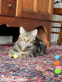 80-Pack Cat Toy Balls 10 Assorted Colors 1.25 Inch Diameter Suitable for All Cat Sizes (Cat Toys Value Pack)