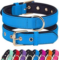 Didog Soft Padded Dog Collars for Medium Dogs, Lightweight and Breathable Dog Collar with Metal Buckle, Blue, L