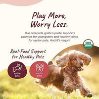 kin+kind Hip+Joint Supplement Dogs & Cats - Vet Formulated Natural Formula with Organic Turmeric, Black Pepper and Coconut- Made in USA - 8 oz (Large)