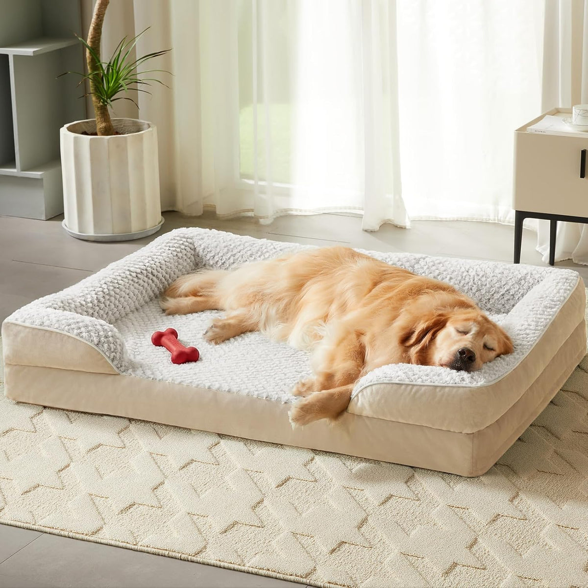 Washable Orthopedic Dog Bed - Beige / 28"L x 23"W x 6.5"Th