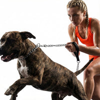 Heavy Duty Dog Chain Leash - 4 ft. x 3.0 mm (0-80 lbs.) - image 3
