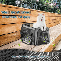 Petsfit Cat Carrier Small Dog Carrier, Lightweight Portable Soft Pet Carrier for Large and Medium Cats, 5-Sided Breathable Mesh, Escape Proof and Auto-Safe, Sturdy Structure