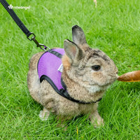 Niteangel Adjustable Soft Harness with Elastic Leash for Rabbits – Essentials for Small Pets - M / Pink - image 3
