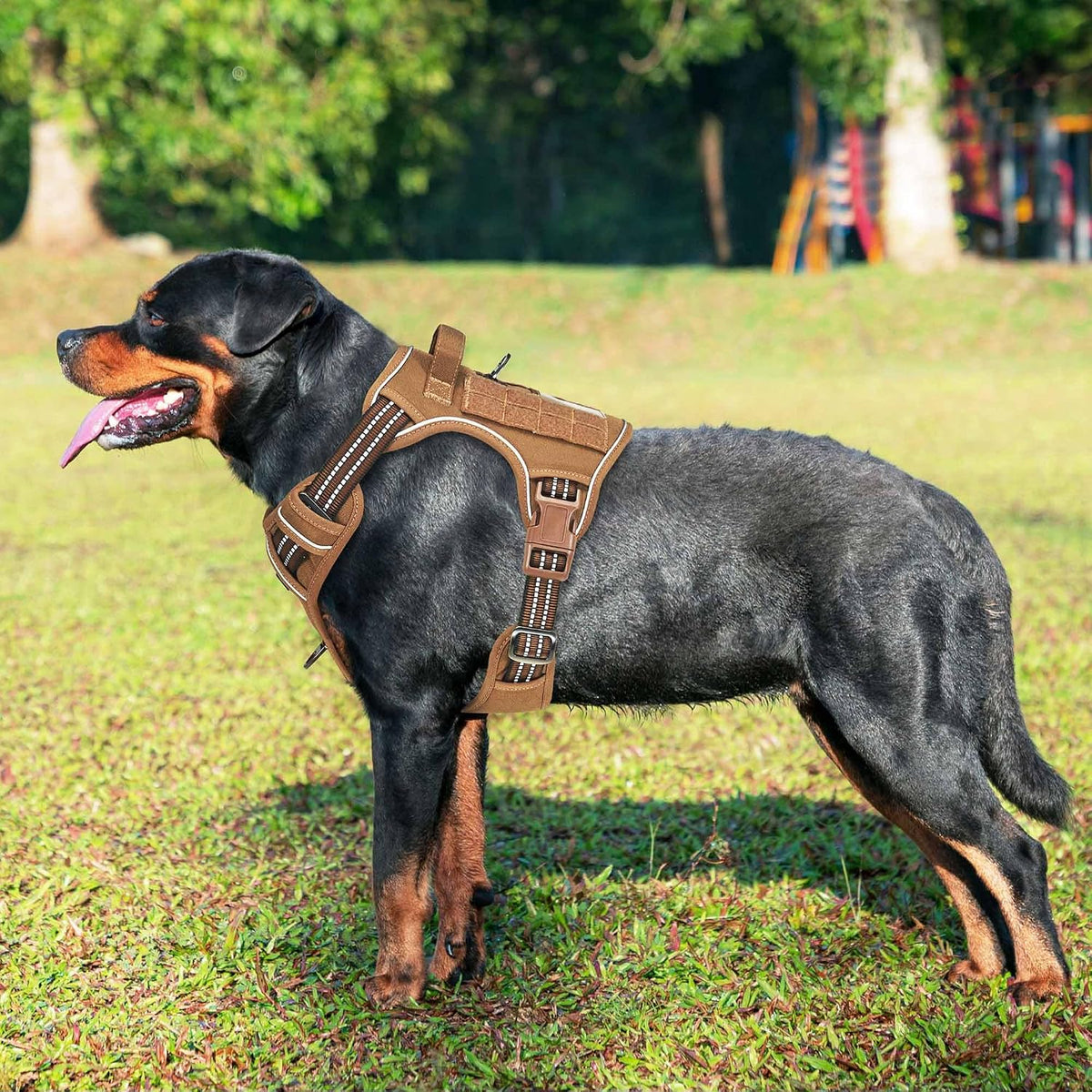 Beebiepet Tactical No Pull Dog Harness with Leash - Brown / Large - image 2