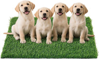 Replacement Artificial Grass Pee Pads for Dogs Potty Training to Pee - XXL-43.7"x27.5"
