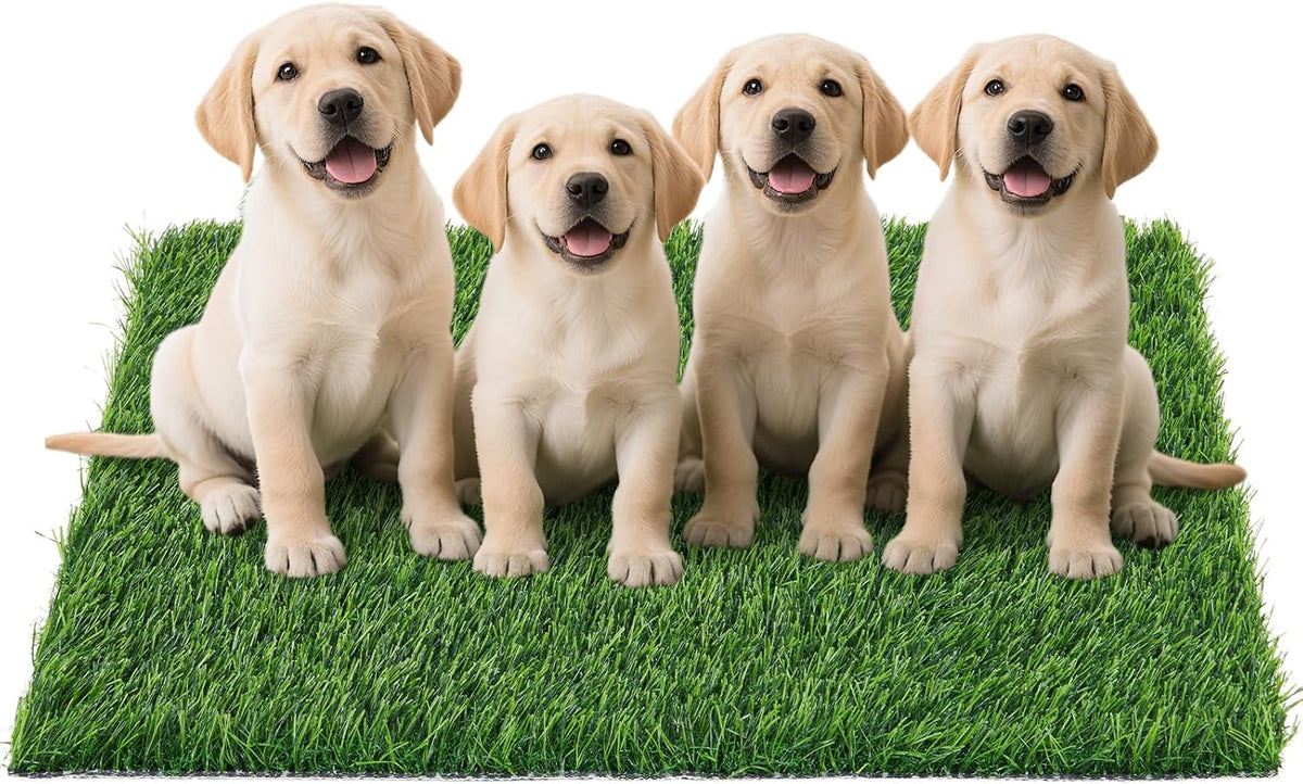 Replacement Artificial Grass Pee Pads for Dogs Potty Training to Pee - XXL-43.7"x27.5"