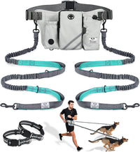SHINE HAI Retractable Hands Free Dog Leash with Dual Bungees for 2 - Gray / For 2 Dog
