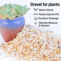 CJGQ 2.4lb Aquarium Gravel for Plants - Mixed Beige / 2.4 lb (1/5 in) - image 3