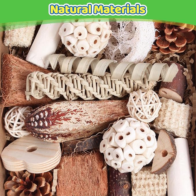 Kyouki Bird Toys Parrot Toys Natural Bird Foraging Box Foot for Parakeets,Cockatiels,Conures,Love Birds,and Other Small to Medium Birds (Medium)