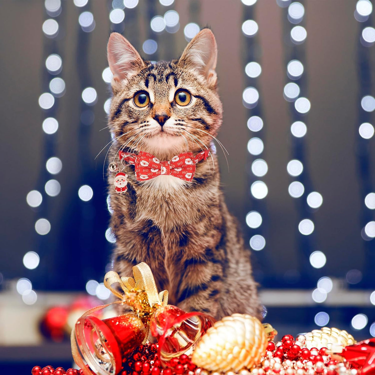 Fall Cat Collar with Bowtie - 7.5"- 10.5" / Christmas-1 - image 2