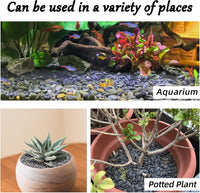 CJGQ Decorative River Rocks Pebbles for Succulents - 18lb / Black-Small - image 2