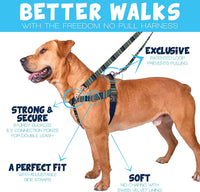 2 Hounds Design Freedom No Pull Dog Harness and Leash, 1" LG - Clyde / SM (Chest 20" - 24") - image 2