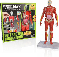 Science to The Max Interactive Human Body Fully Poseable Anatomy Figure - 14” Tall - BIG FRENCHIES