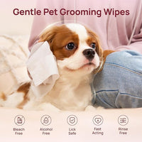HICC PET Cleaning Deodorizing Wipes for Dogs & Cats, Vet Recommended Nourishes Smoothes Fur Pet Grooming Wipes with Fermented Coconut Oil (400 Counts (Thicken), Rose)