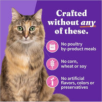 Halo Pets Spot's Stew Wholesome Turkey Cat Food Number of Cans/Size: 5.5-oz, case of 12