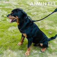 Aiminto braided rope dog leash with metal easy-snap clasp for training and walks - view 3
