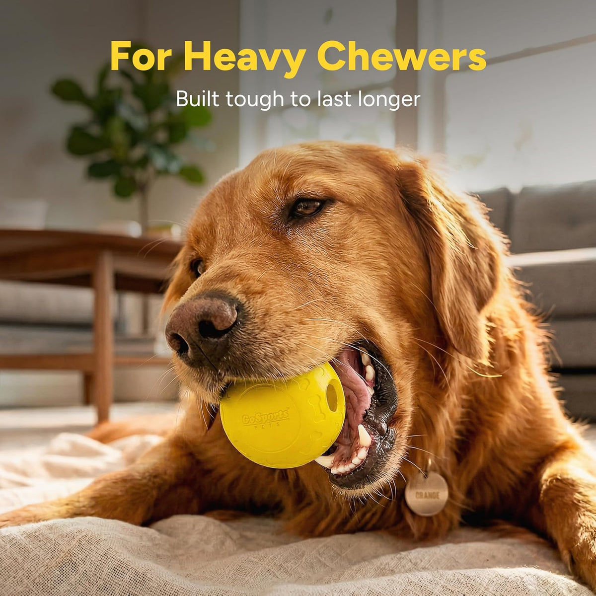 GoSports Pets Solid Rubber Dog Balls - image 2