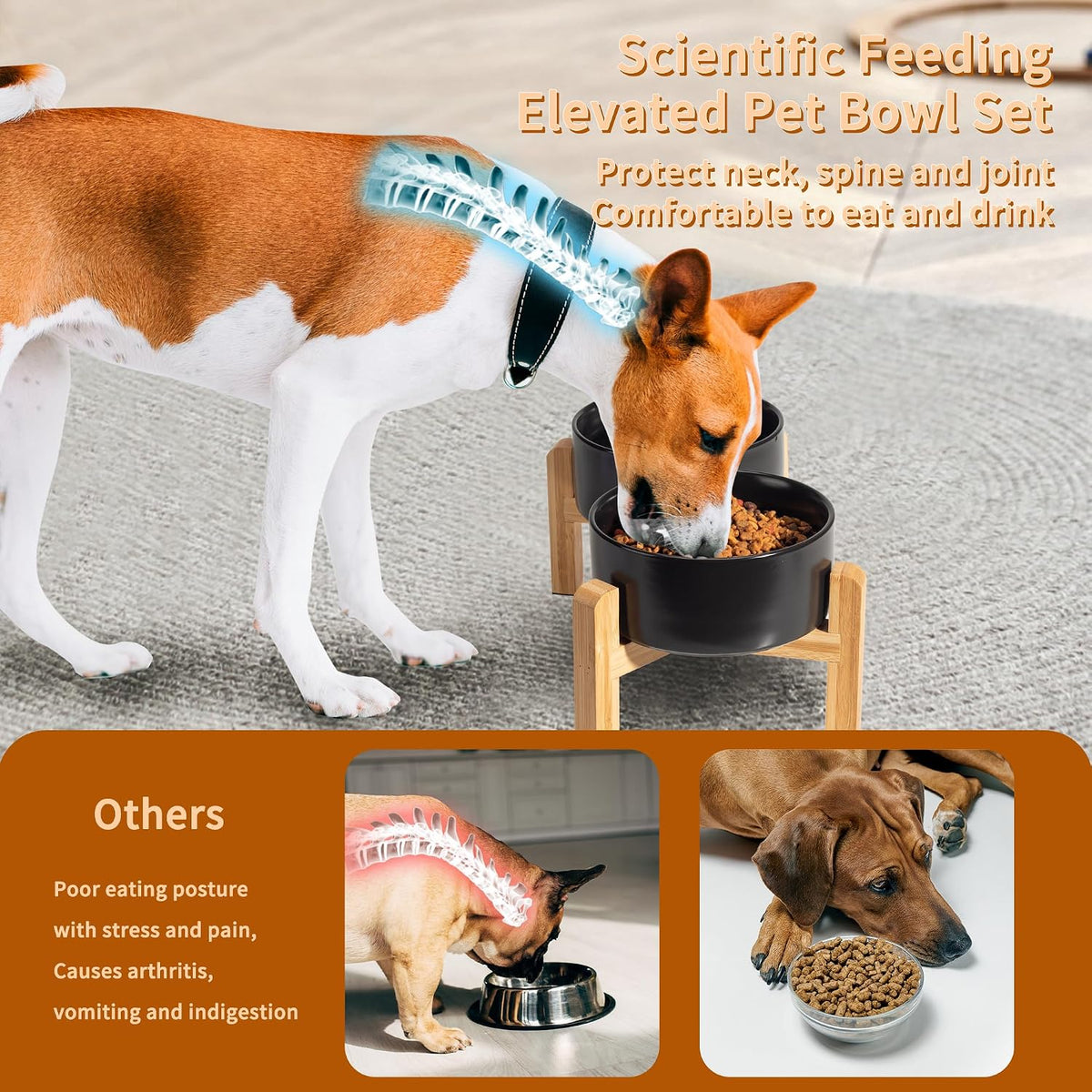Elevated Ceramic Dog Bowl - Black / Medium - image 4