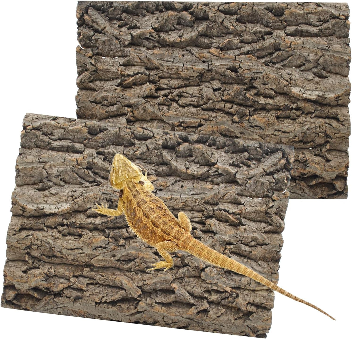 PINVNBY Reptile Terrarium Cork Background - 【Natural Cork Bark 】 / 【2 PCS】