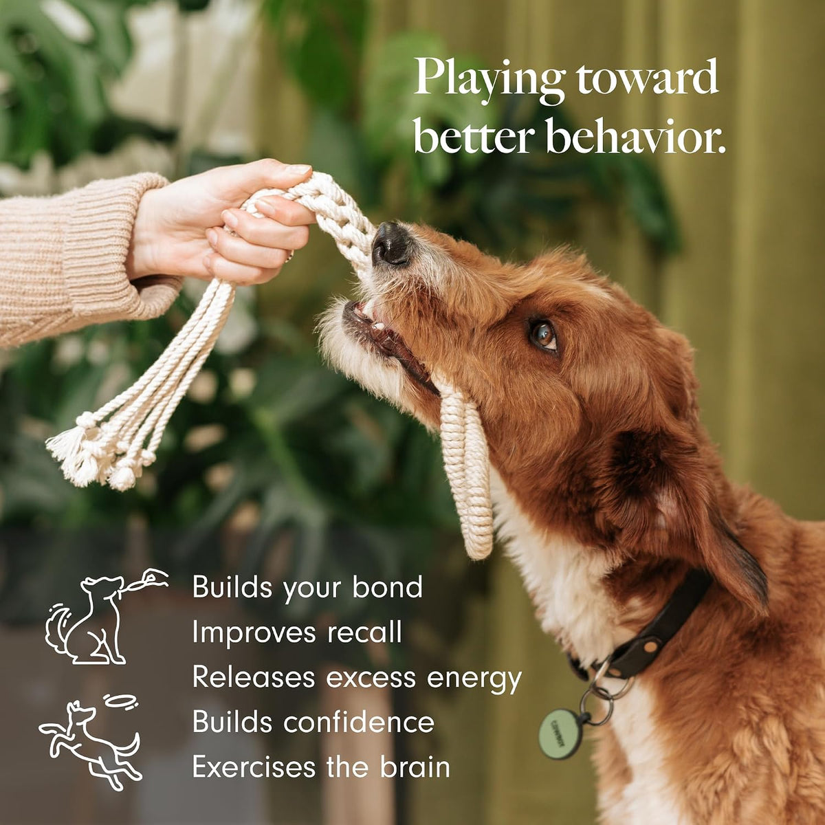 LAY LO Natural Cotton Dog Rope Toy for Small & Medium Dogs - image 2