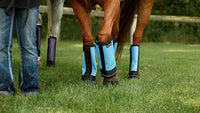 Warrior Fly Boots for Horses - Breathable Mesh Horse Boots for Fly Protection & Leg Comfort - Set of 4 (Goliath Warrior, Neon Pink)