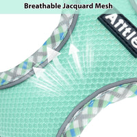 Breathable Dog Harness Small Sized and Leash Set - Turquoise / XXS(Chest: 10 - 11.5") - image 3