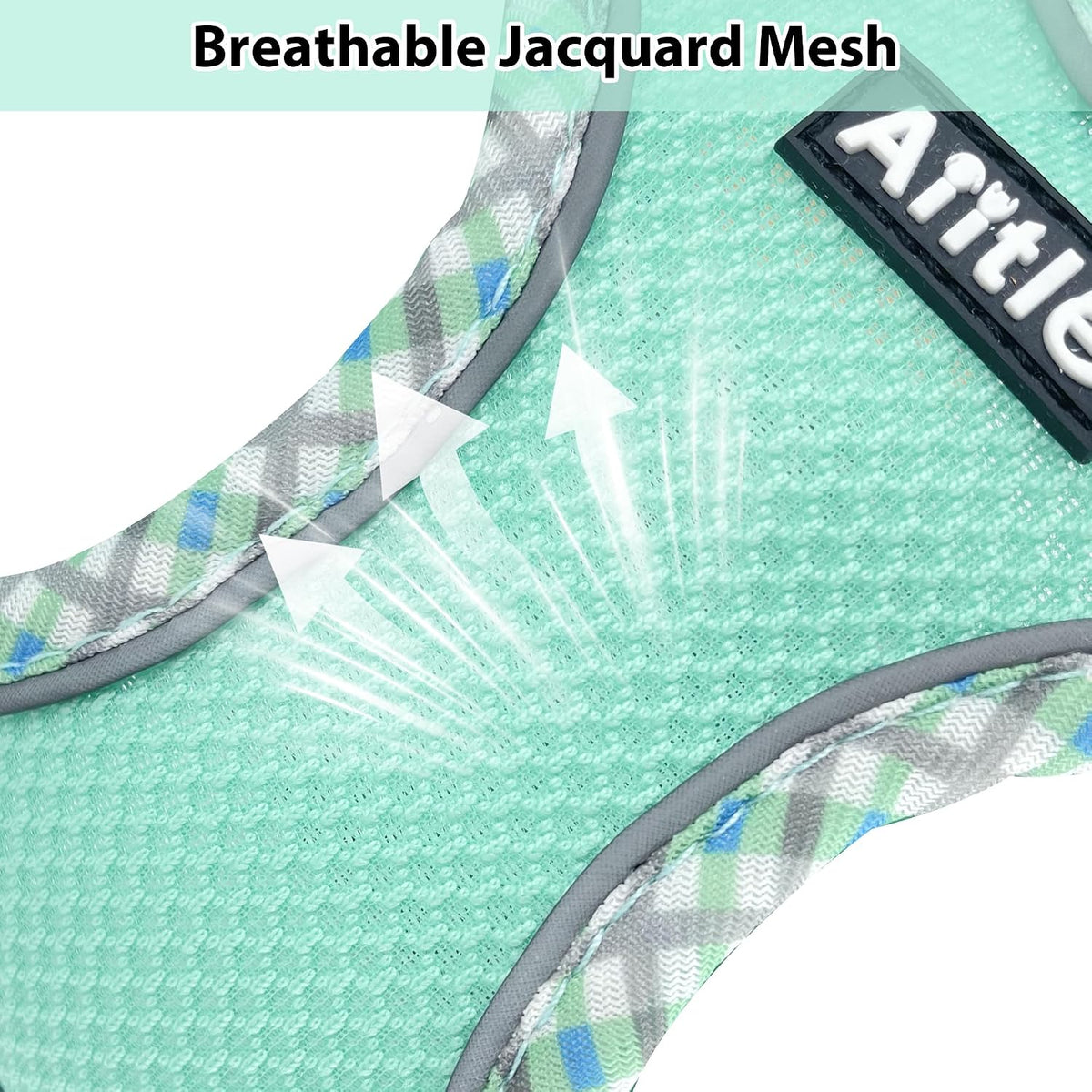 Breathable Dog Harness Small Sized and Leash Set - Turquoise / XXS(Chest: 10 - 11.5") - image 3