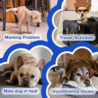 MICOOYO Dog Diapers Male Disposable Super Absorbent Male Dog Wraps - Large / 50 - image 4