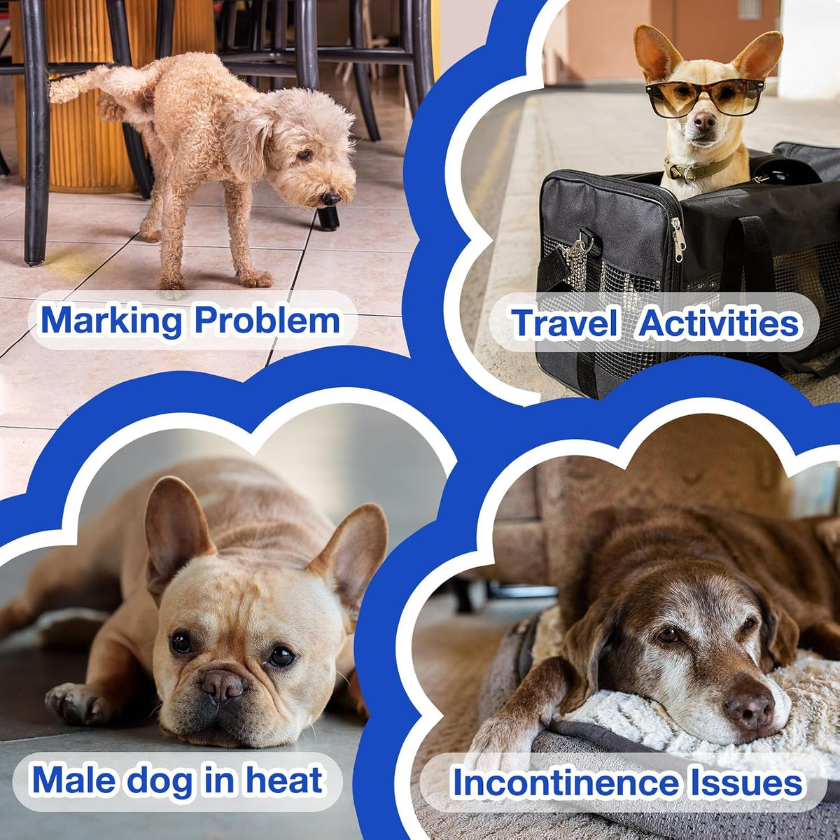 MICOOYO Dog Diapers Male Disposable Super Absorbent Male Dog Wraps - Large / 50 - image 4