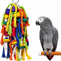 Parrot Toys Large Bird Toys