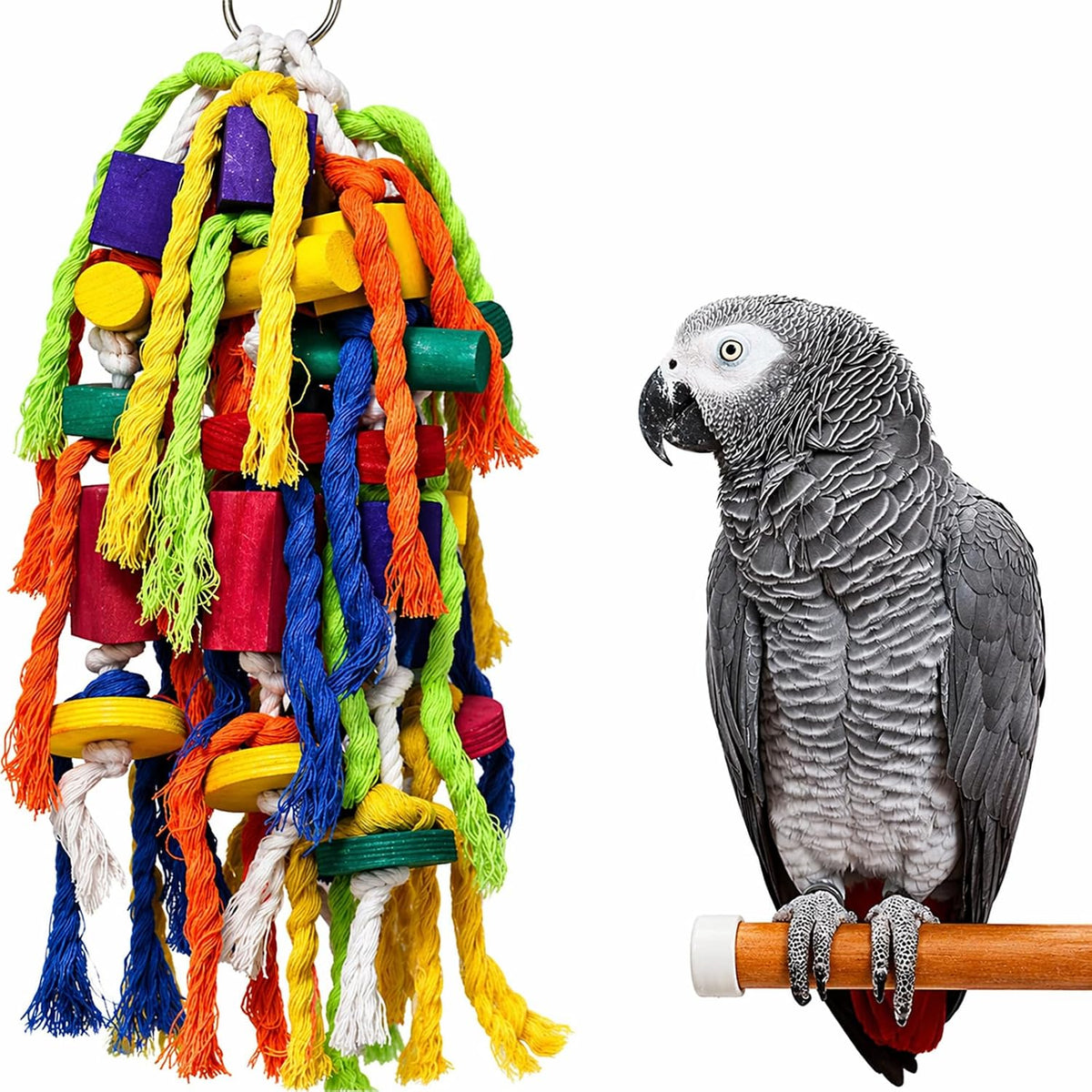 Parrot Toys Large Bird Toys