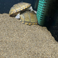 5 lbs Aquarium Sand, Beige Fish Tank Sand - Mixed / 20 LB - image 4