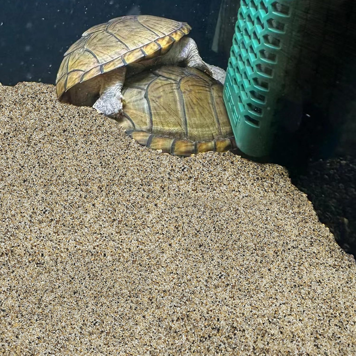 5 lbs Aquarium Sand, Beige Fish Tank Sand - Mixed / 20 LB - image 4