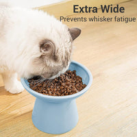 Extra Wide Elevated Ceramic 6.2" Shallow Cat Food Bowl – Essentials for Cats - Blue-Shallow - image 2