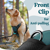 rabbitgoo Dog Harness for Large - Blue Coral / Large - image 3