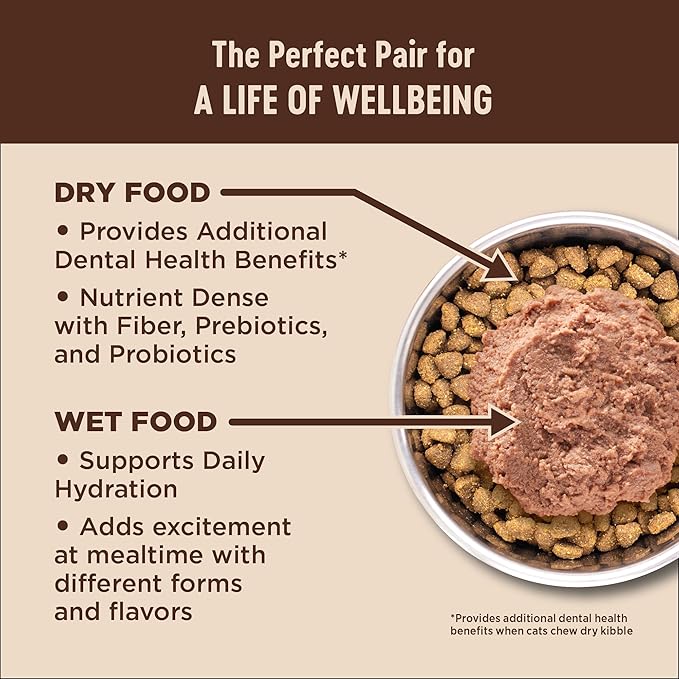 Wellness CORE+ Adult Dry Cat Food for Indoor and Outdoor Cats, Wholesome Grains, Natural, Digestive Health Chicken & Rice (11 Pound Bag)