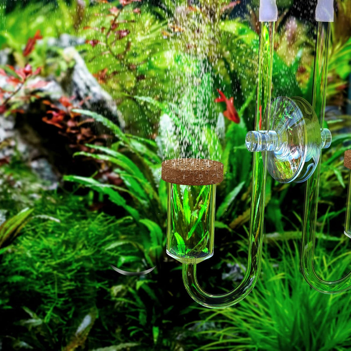 Fzone Neo CO2 Diffuser with Customized Ceramic from South Korea – Essentials for Fish - S-13mm - image 4