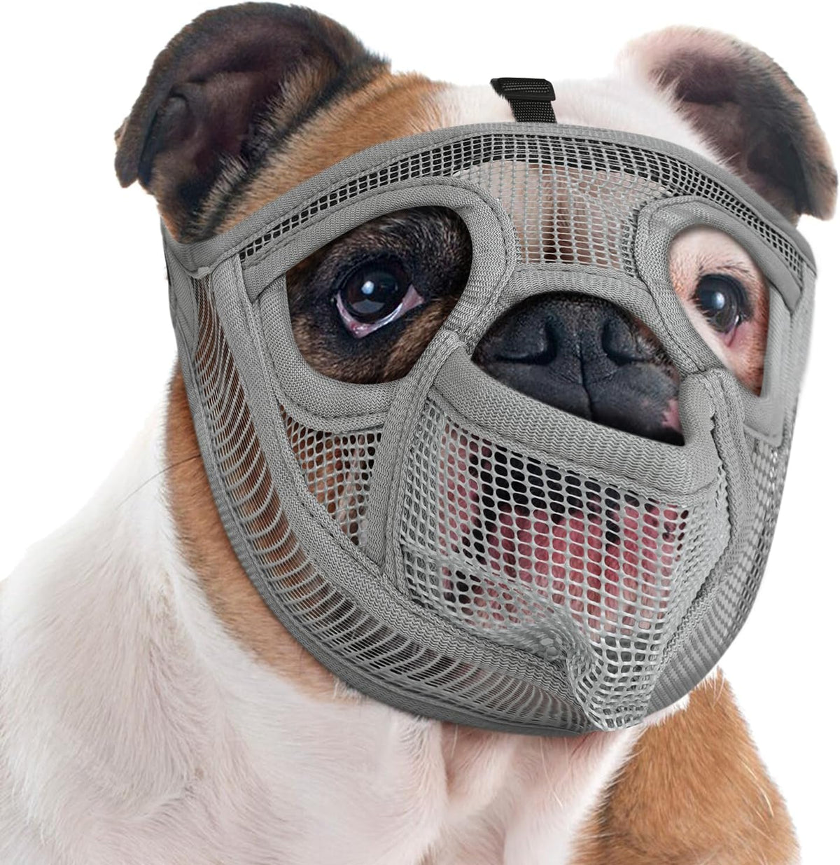 Mesh Short Snout Dog Muzzle with Anti-Eating Design for Frenchie – Essentials for Dogs - Grey / L [Head Cir: 20.5"-23"]