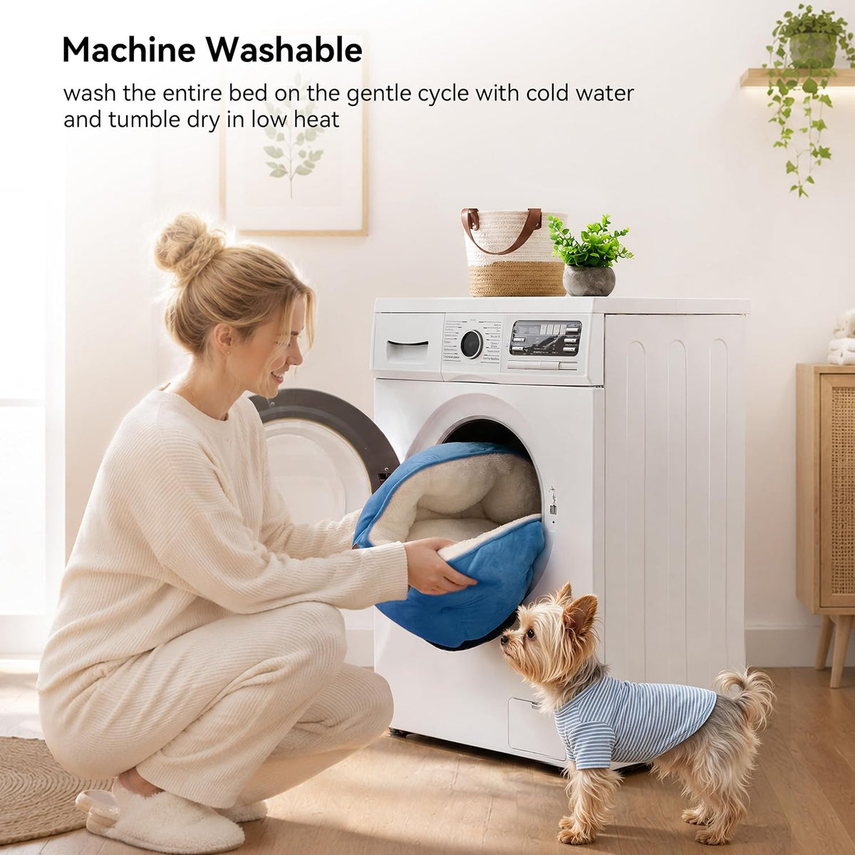 Small Dog Bed for Small Dogs, Cat Beds for Indoor Cats - Small (Pack of 1) / Light Blue - image 3