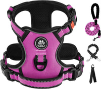 IVY&LANE No Pull Dog Harness for Medium Dogs - Fuchsia Pink / Large