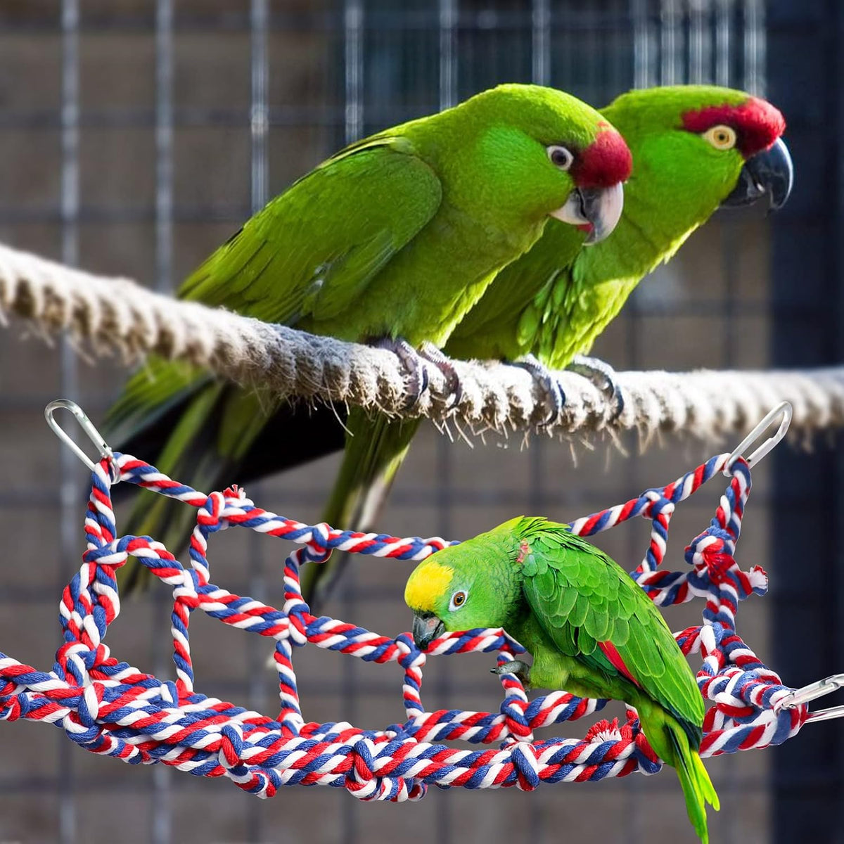 2 Pack Colorful Bird Rope Net, Pet Hanging Hammock - Large(14 × 10 Inches) - image 4