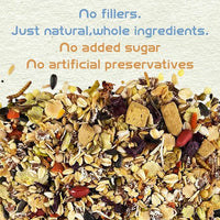 Garden Fruit & Vegetable Hamster Food Mix Natural Small Pet Food Made for Hamsters 1LB Critical Care Healthy Dwarf Hamsters Feed New Packaging