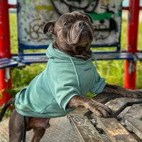 Spark Paws Dog Hoodie, Buttery-Soft Sweater Sweatshirt - Teal / X-Large - image 3