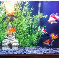 5 lbs Mexican Beach Pebbles, 2-3 Inch Decorative River Rocks for Fish Tank Aquarium Fountain, Decorative Pebbles for Garden Landscaping, Home Décor, Outdoor Paving Walkways Pathways Backyard