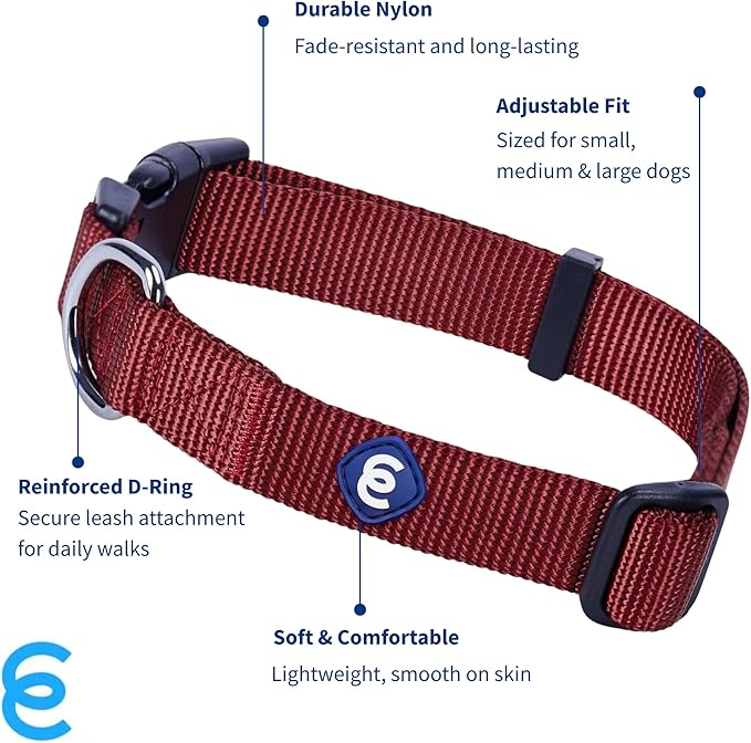 Blueberry Pet X-Small Dog Collar | Girl Dog Collars | Female Dog Collar XS | Quick Release Dog Collar | Fired Brick Nylon Dog Collar for Girl, Collar for Small Dogs
