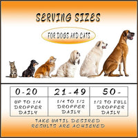 Pet Hemp Oil | Dogs and Cats | Wild Alaskan Salmon Hemp Oil | 1000MG Organic Tincture | 100% Natural | Hip, Joint, and Muscle Support for Your Pet | Aids with Skin, Coat, Anxiety, Stress, and Pain